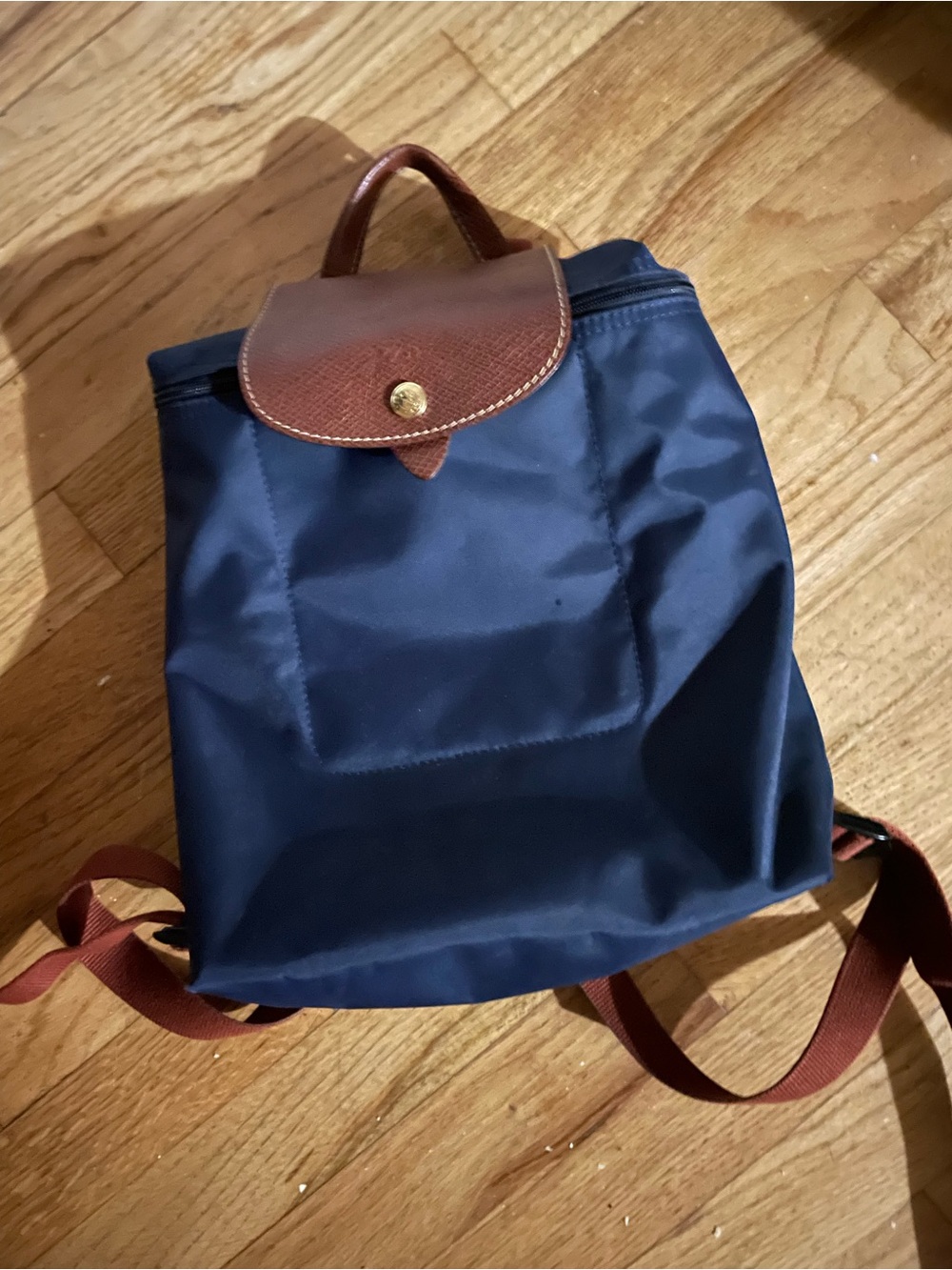 Longchamp Navy Backpack with Brown Leather Trim